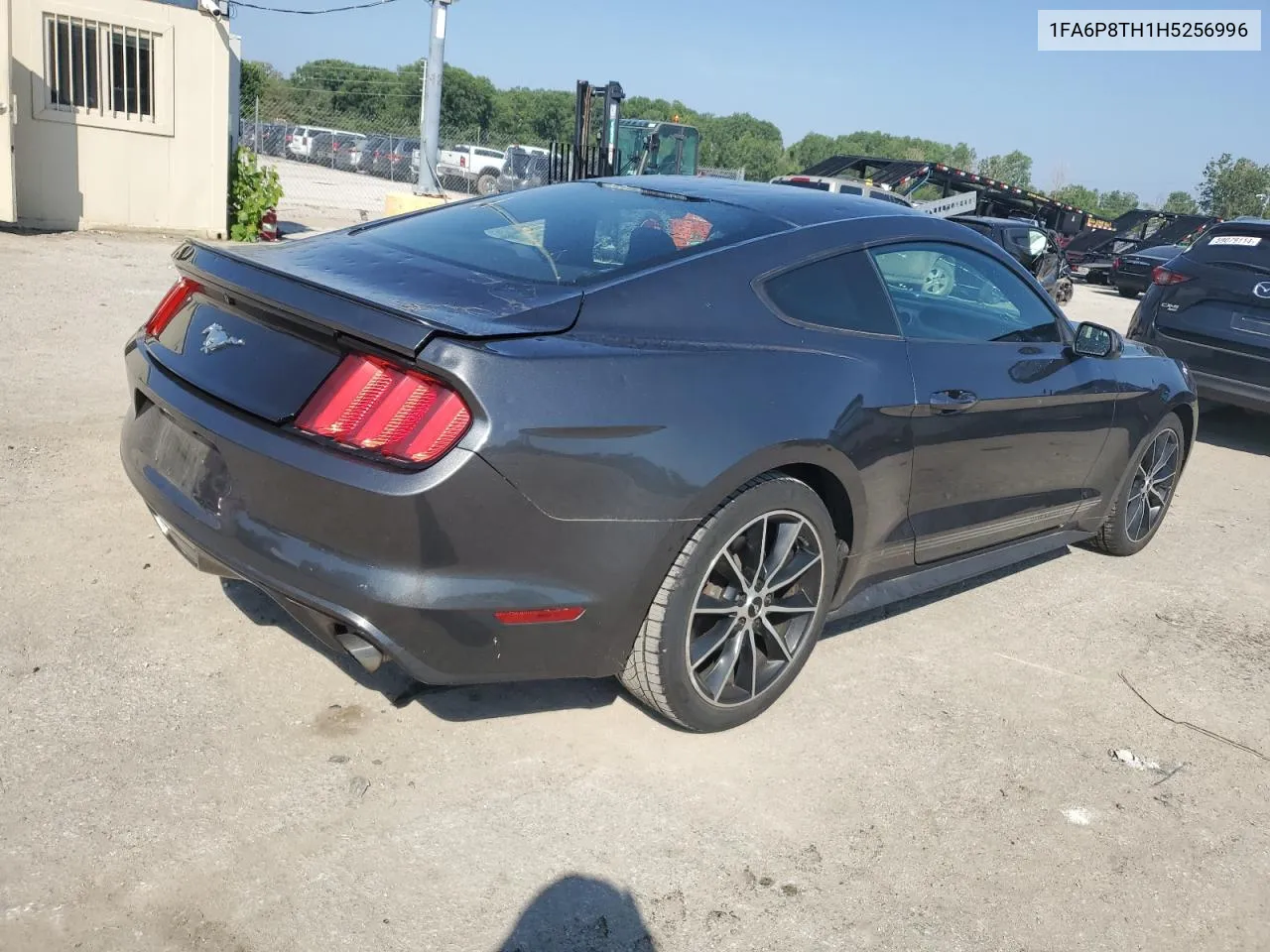 2017 Ford Mustang VIN: 1FA6P8TH1H5256996 Lot: 59179054