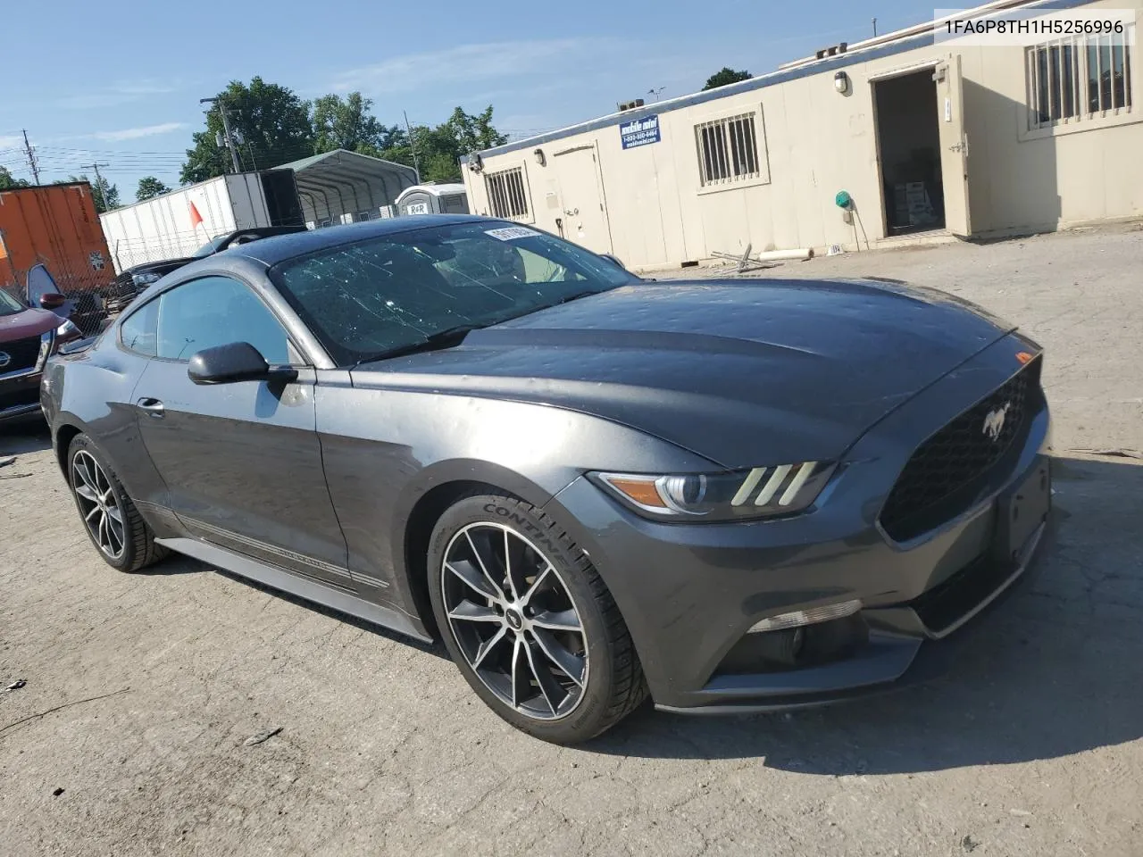 2017 Ford Mustang VIN: 1FA6P8TH1H5256996 Lot: 59179054