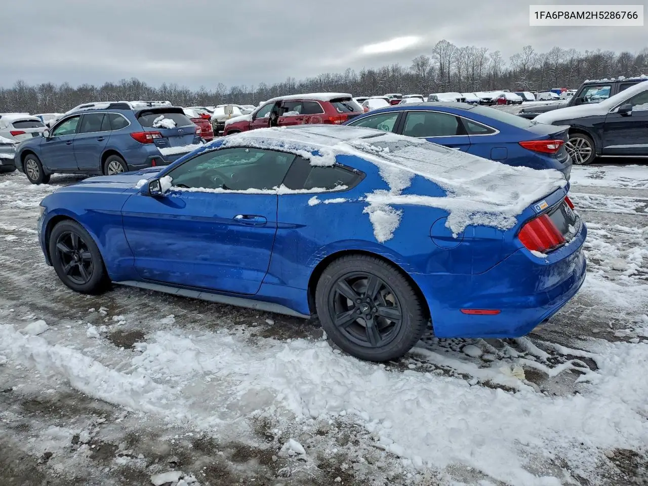 1FA6P8AM2H5286766 2017 Ford Mustang