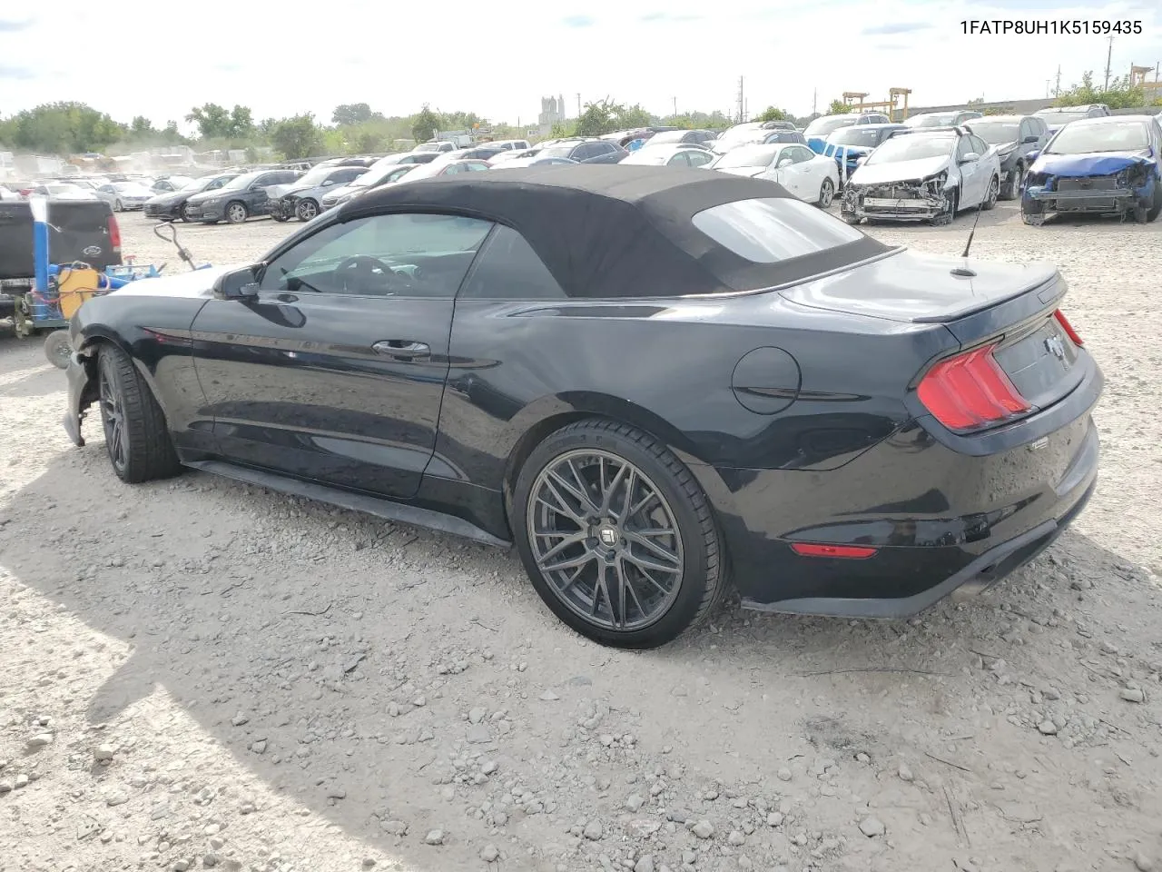 1FATP8UH1K5159435 2019 Ford Mustang