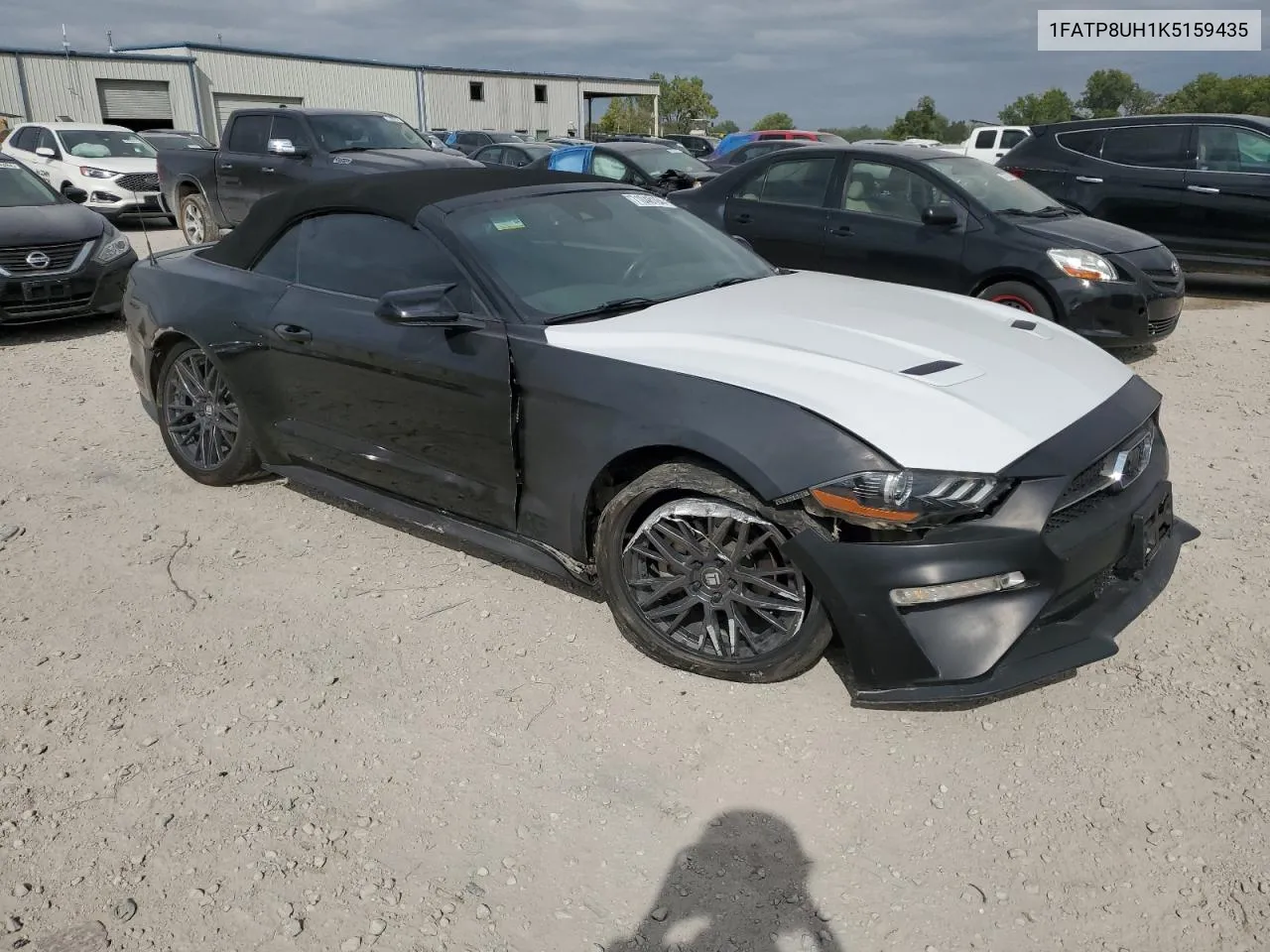 1FATP8UH1K5159435 2019 Ford Mustang