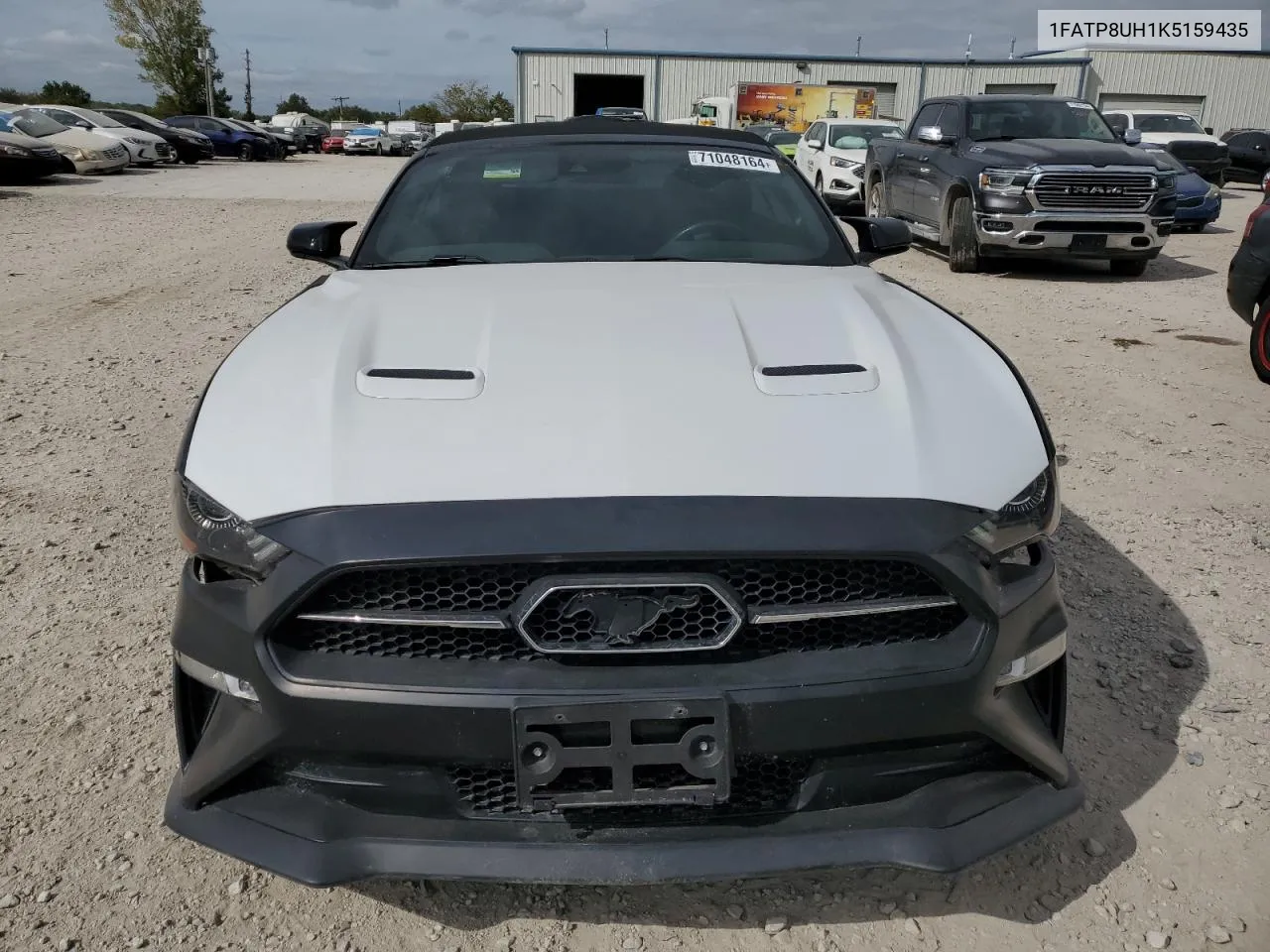 1FATP8UH1K5159435 2019 Ford Mustang