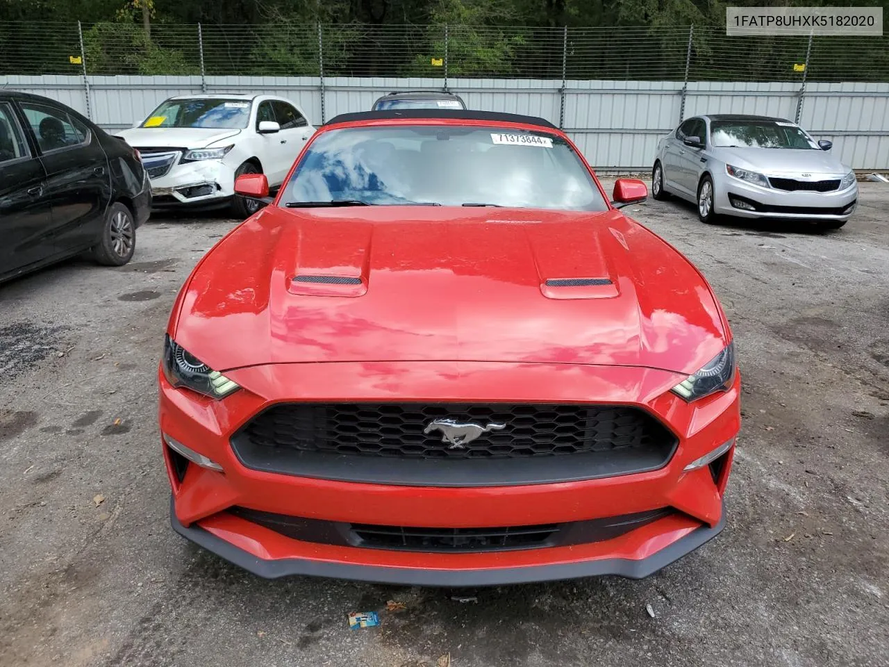 1FATP8UHXK5182020 2019 Ford Mustang