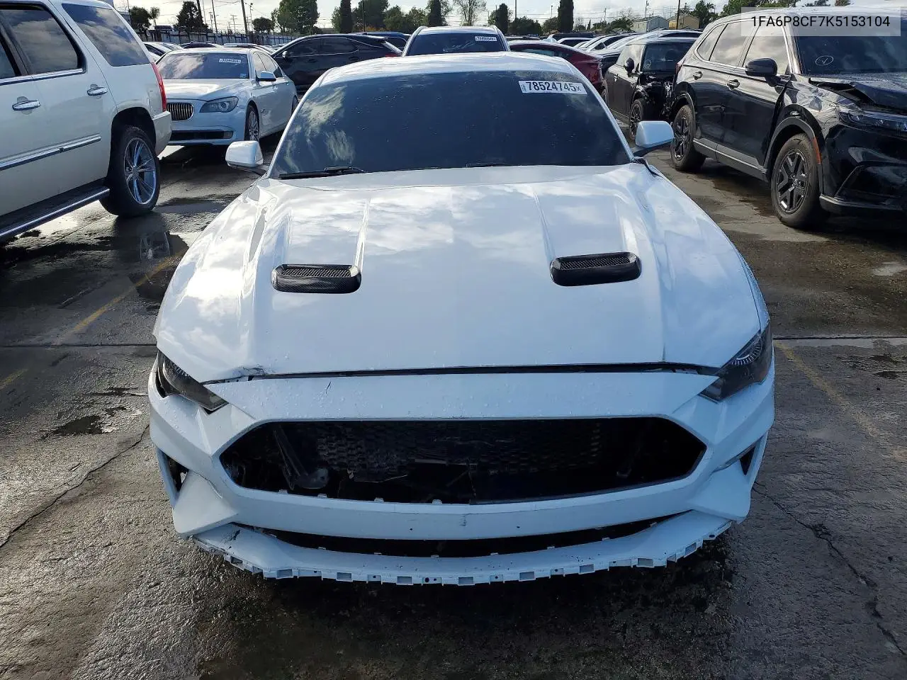 1FA6P8CF7K5153104 2019 Ford Mustang Gt