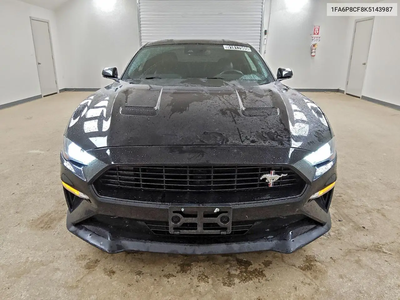 1FA6P8CF8K5143987 2019 Ford Mustang Gt