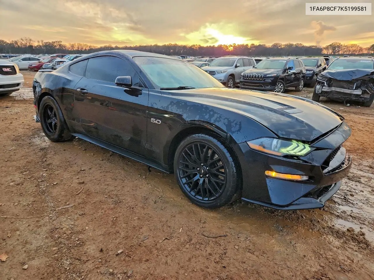 1FA6P8CF7K5199581 2019 Ford Mustang Gt