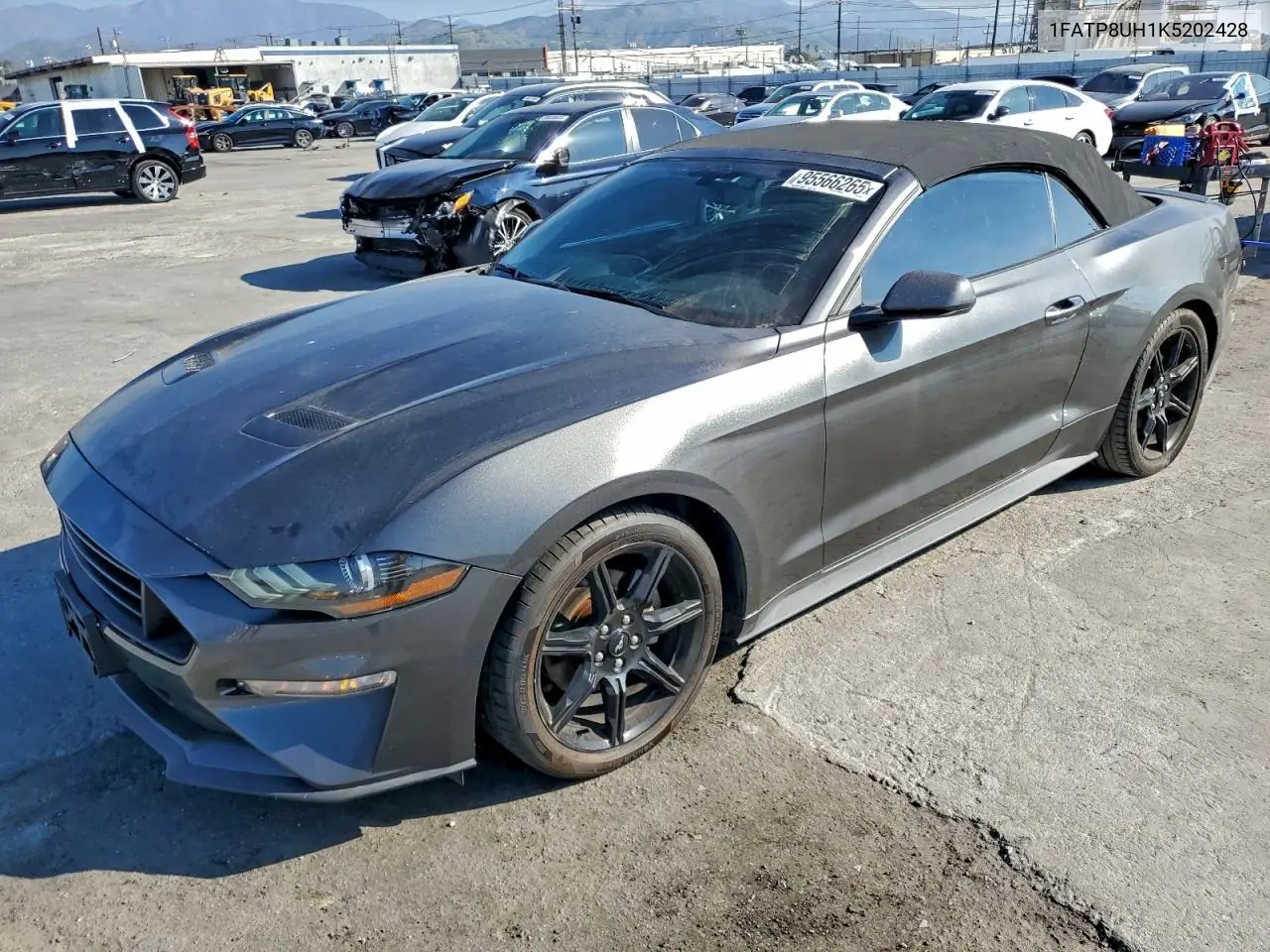 1FATP8UH1K5202428 2019 Ford Mustang