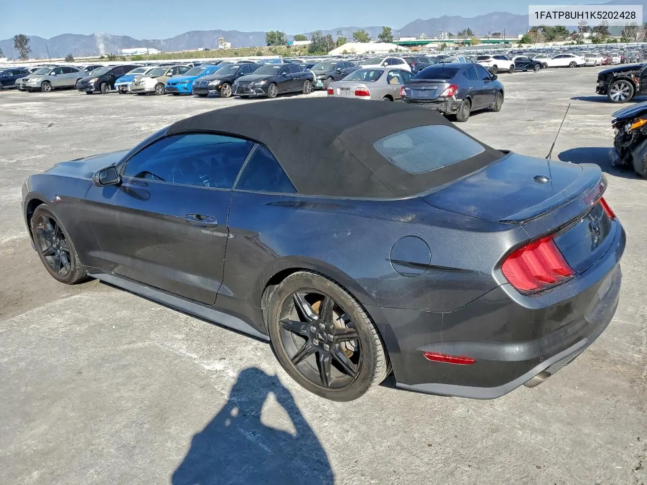 1FATP8UH1K5202428 2019 Ford Mustang