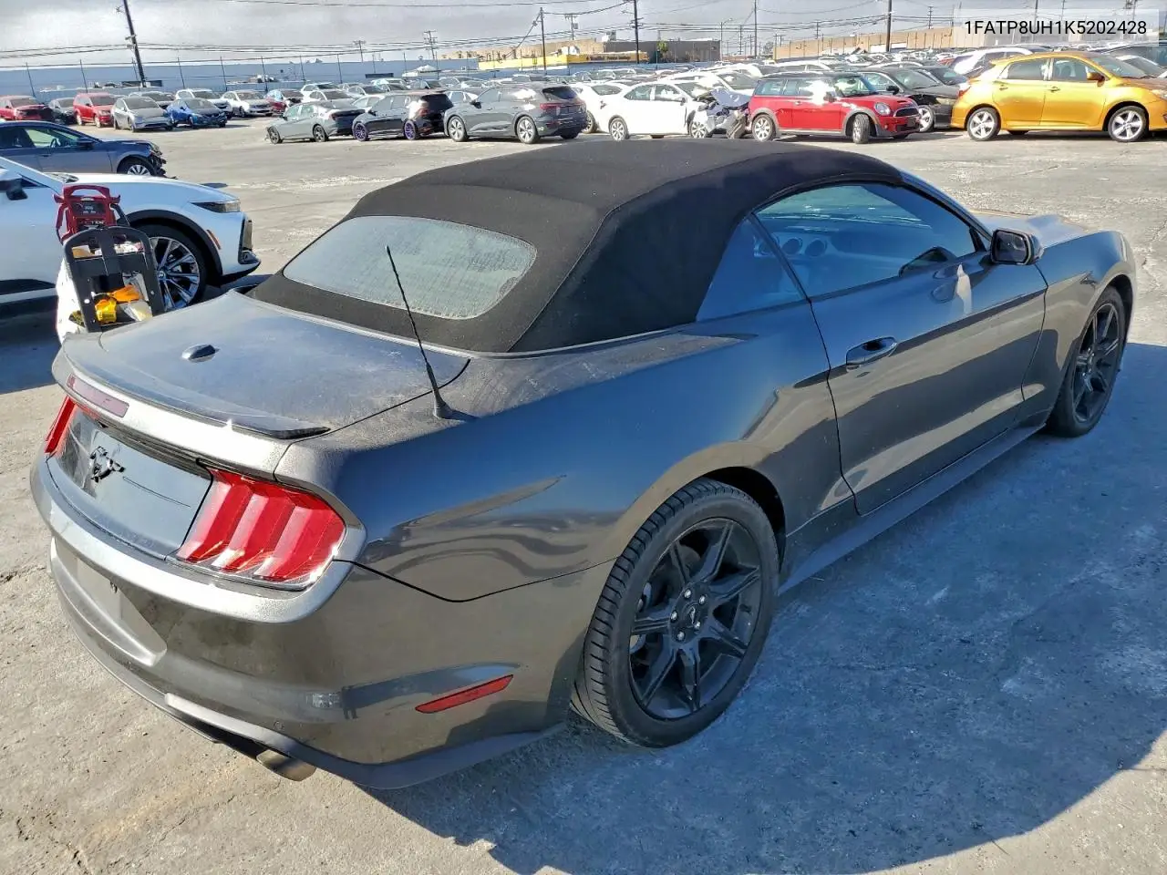 1FATP8UH1K5202428 2019 Ford Mustang