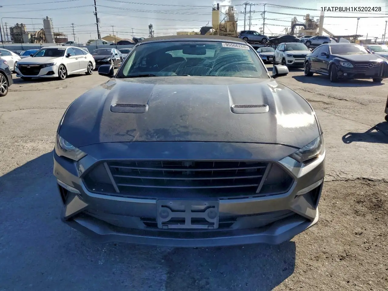 1FATP8UH1K5202428 2019 Ford Mustang