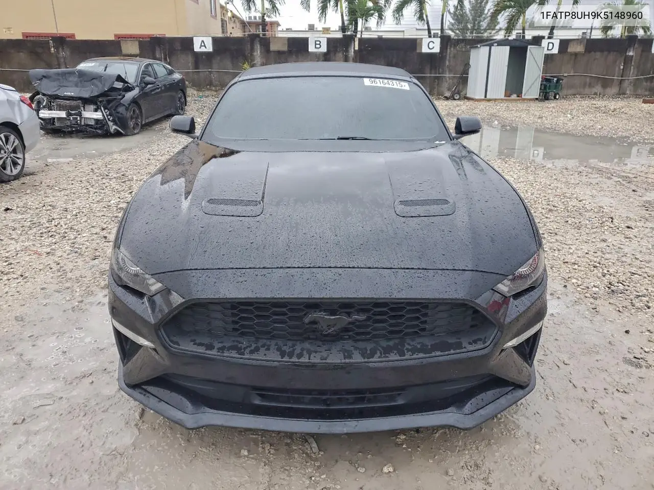 1FATP8UH9K5148960 2019 Ford Mustang