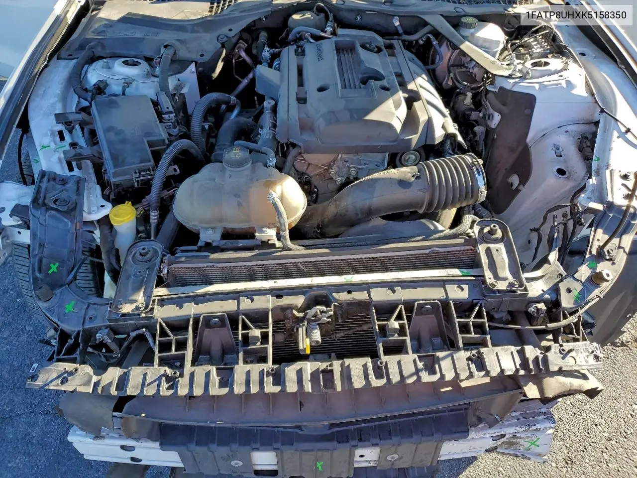 1FATP8UHXK5158350 2019 Ford Mustang