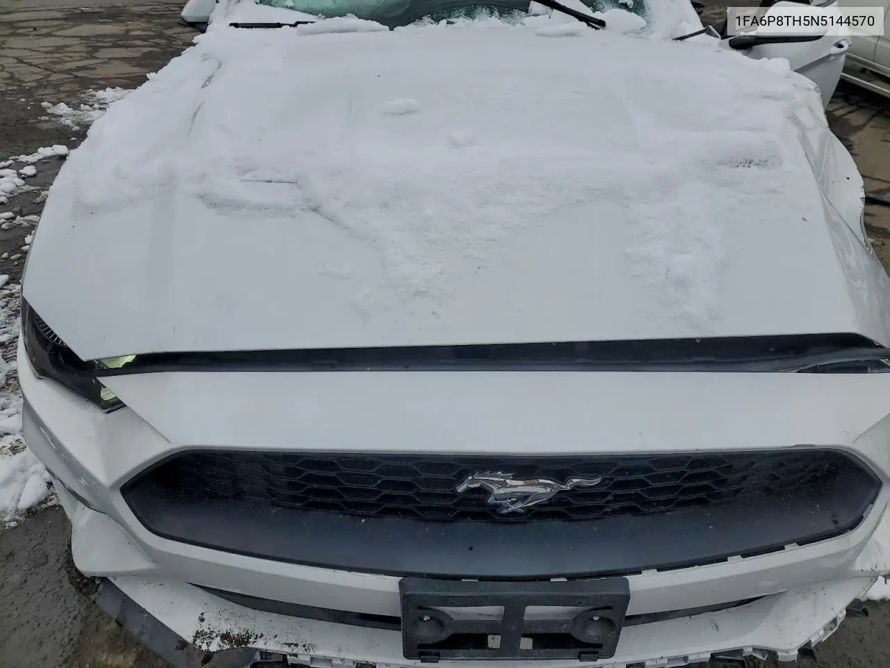 1FA6P8TH5N5144570 2022 Ford Mustang