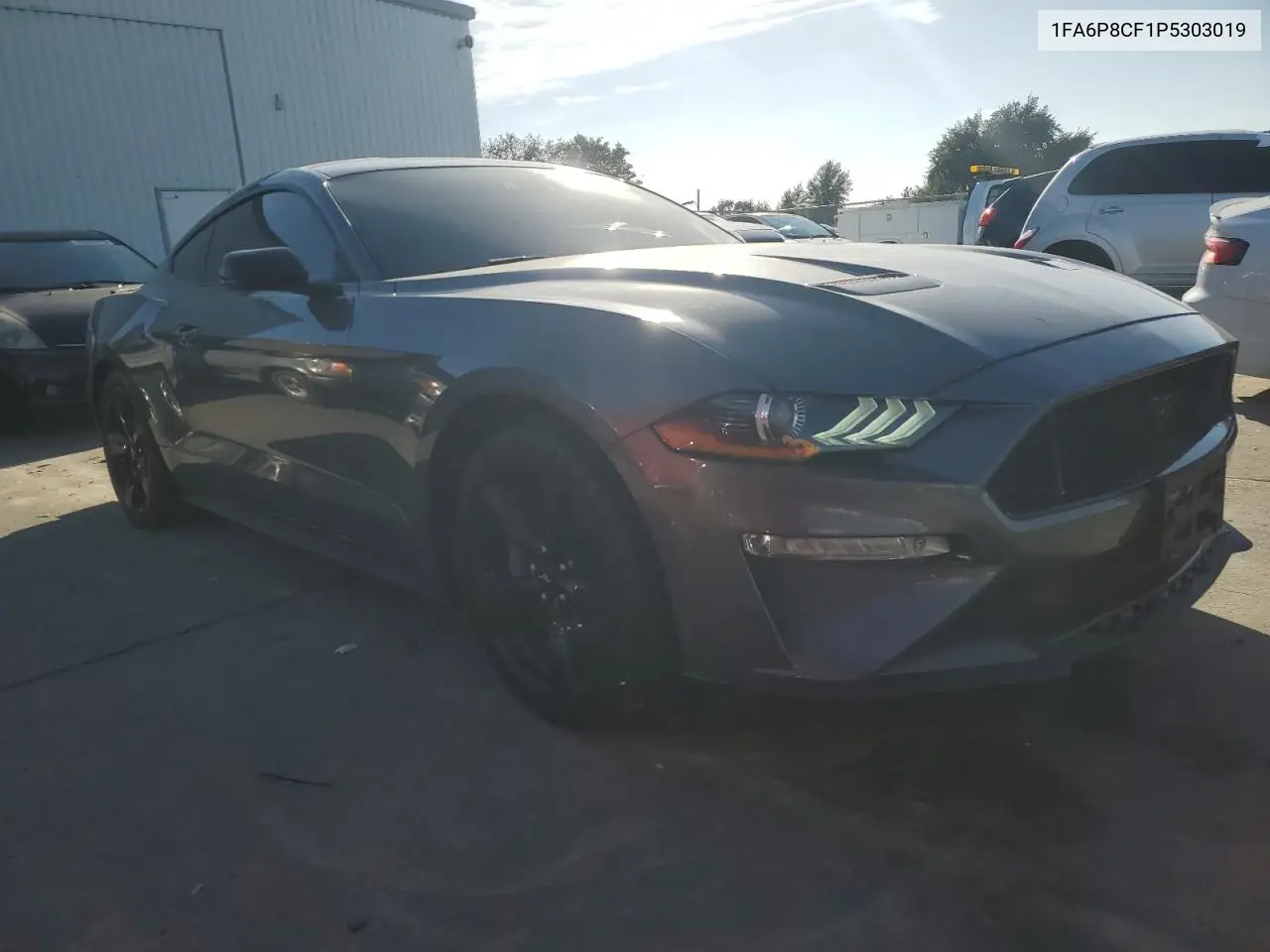 1FA6P8CF1P5303019 2023 Ford Mustang Gt