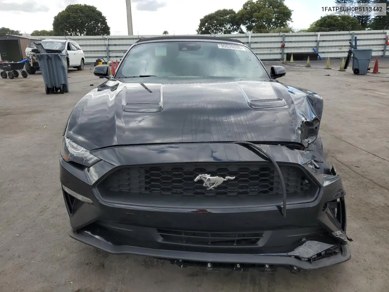 1FATP8UH0P5113442 2023 Ford Mustang