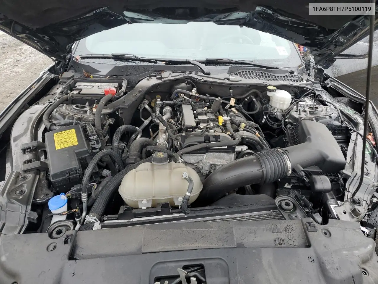 1FA6P8TH7P5100119 2023 Ford Mustang