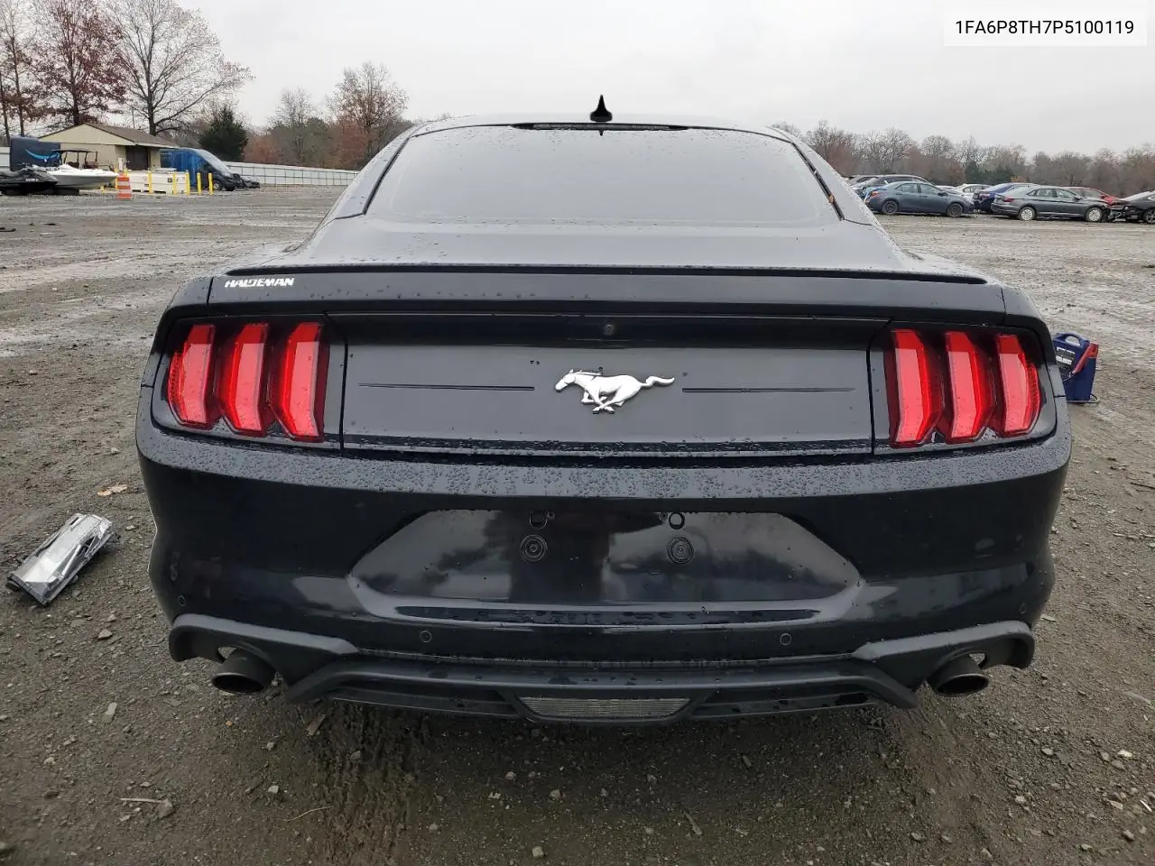 1FA6P8TH7P5100119 2023 Ford Mustang