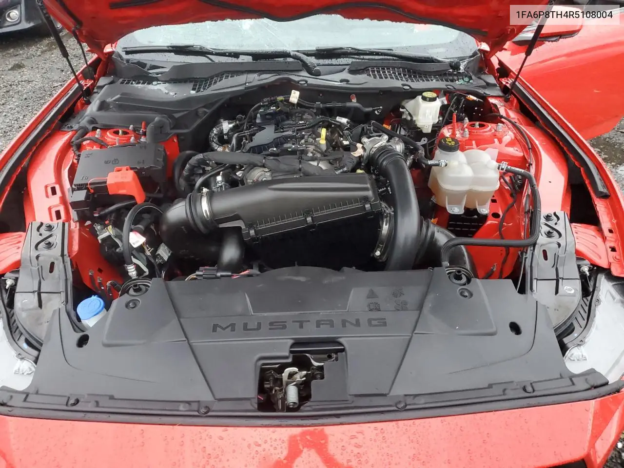 1FA6P8TH4R5108004 2024 Ford Mustang