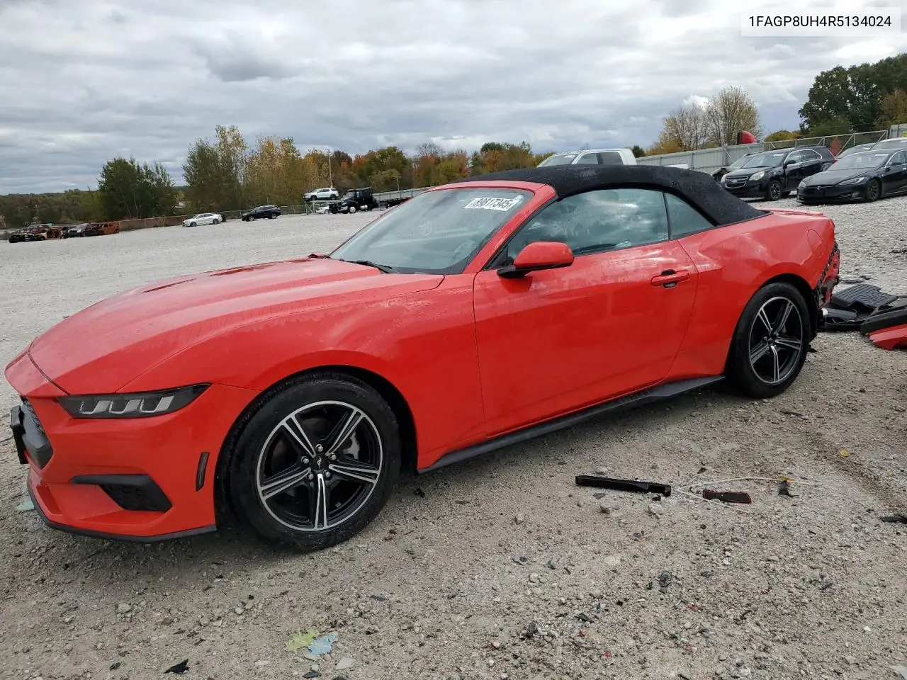 1FAGP8UH4R5134024 2024 Ford Mustang