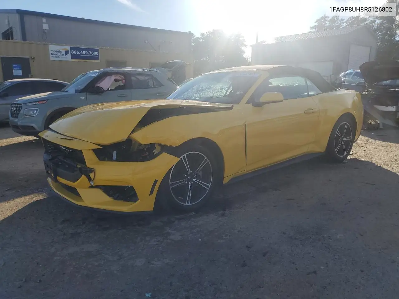 1FAGP8UH8R5126802 2024 Ford Mustang