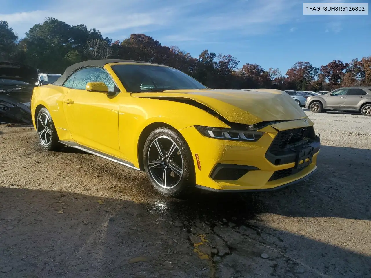 1FAGP8UH8R5126802 2024 Ford Mustang
