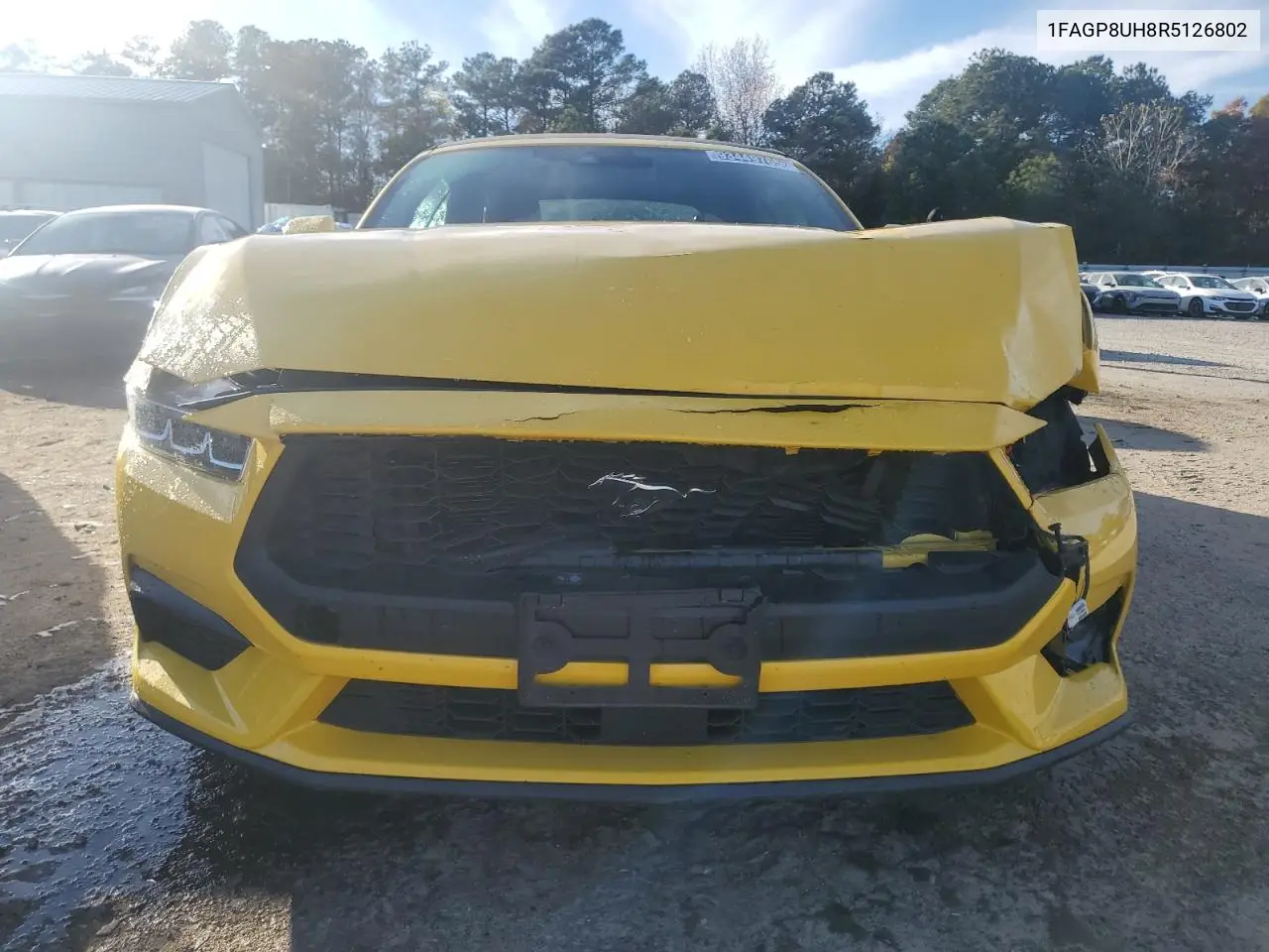 1FAGP8UH8R5126802 2024 Ford Mustang