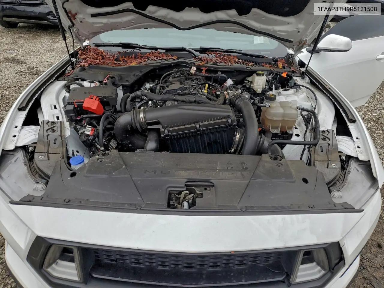 1FA6P8TH9R5121508 2024 Ford Mustang