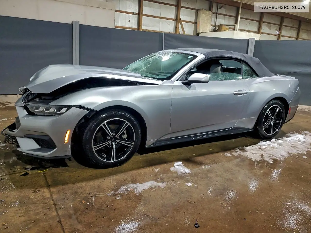 1FAGP8UH3R5120079 2024 Ford Mustang