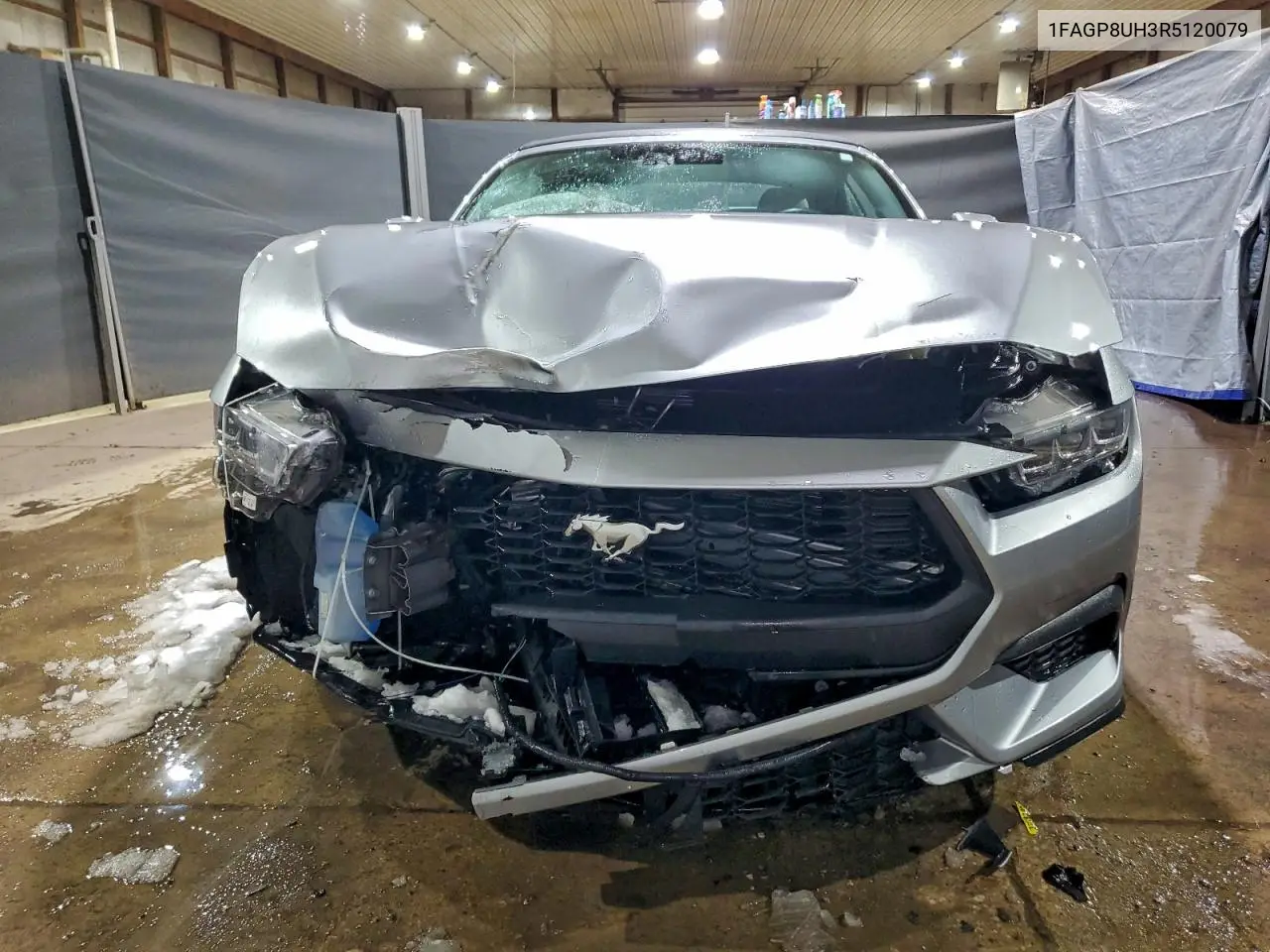 1FAGP8UH3R5120079 2024 Ford Mustang