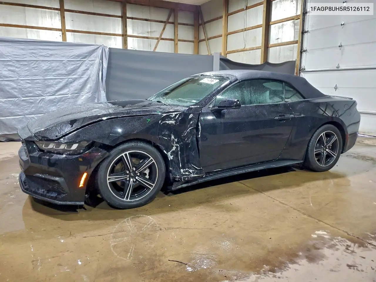 1FAGP8UH5R5126112 2024 Ford Mustang