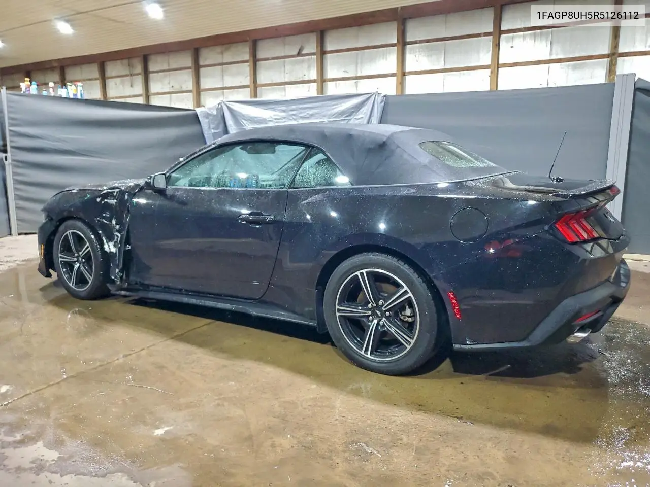 1FAGP8UH5R5126112 2024 Ford Mustang