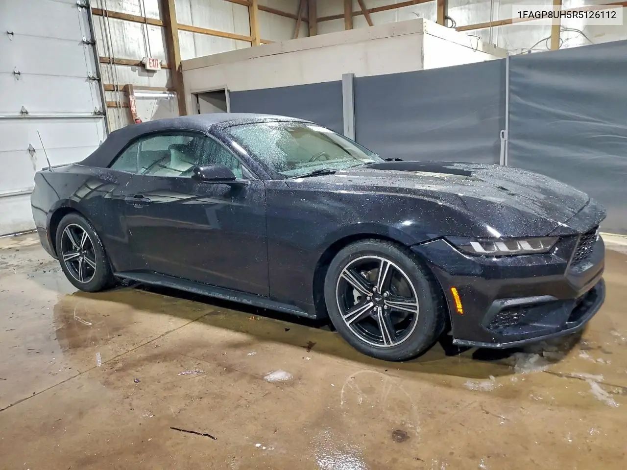 1FAGP8UH5R5126112 2024 Ford Mustang
