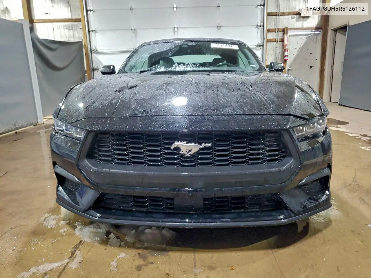 1FAGP8UH5R5126112 2024 Ford Mustang