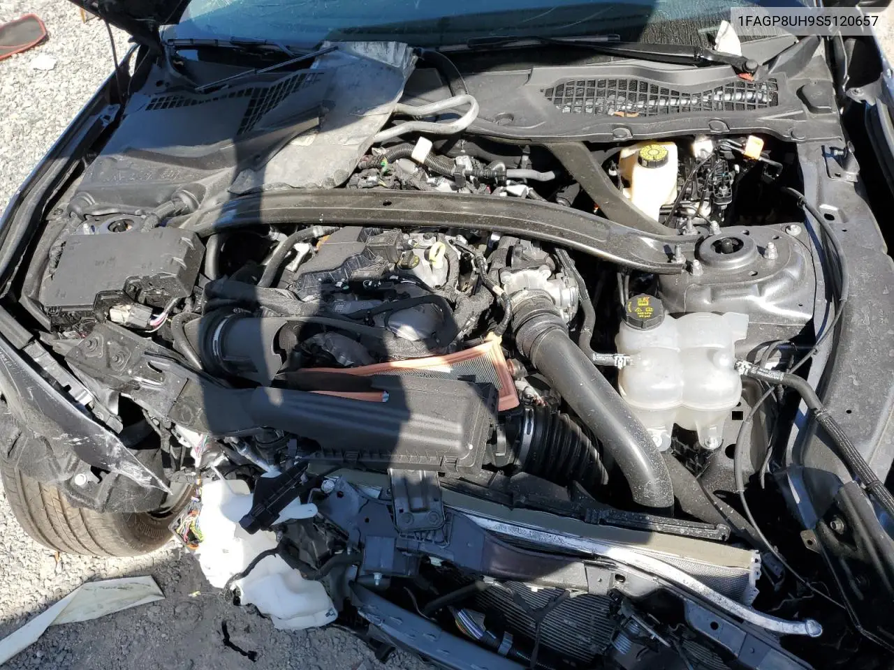 1FAGP8UH9S5120657 2025 Ford Mustang