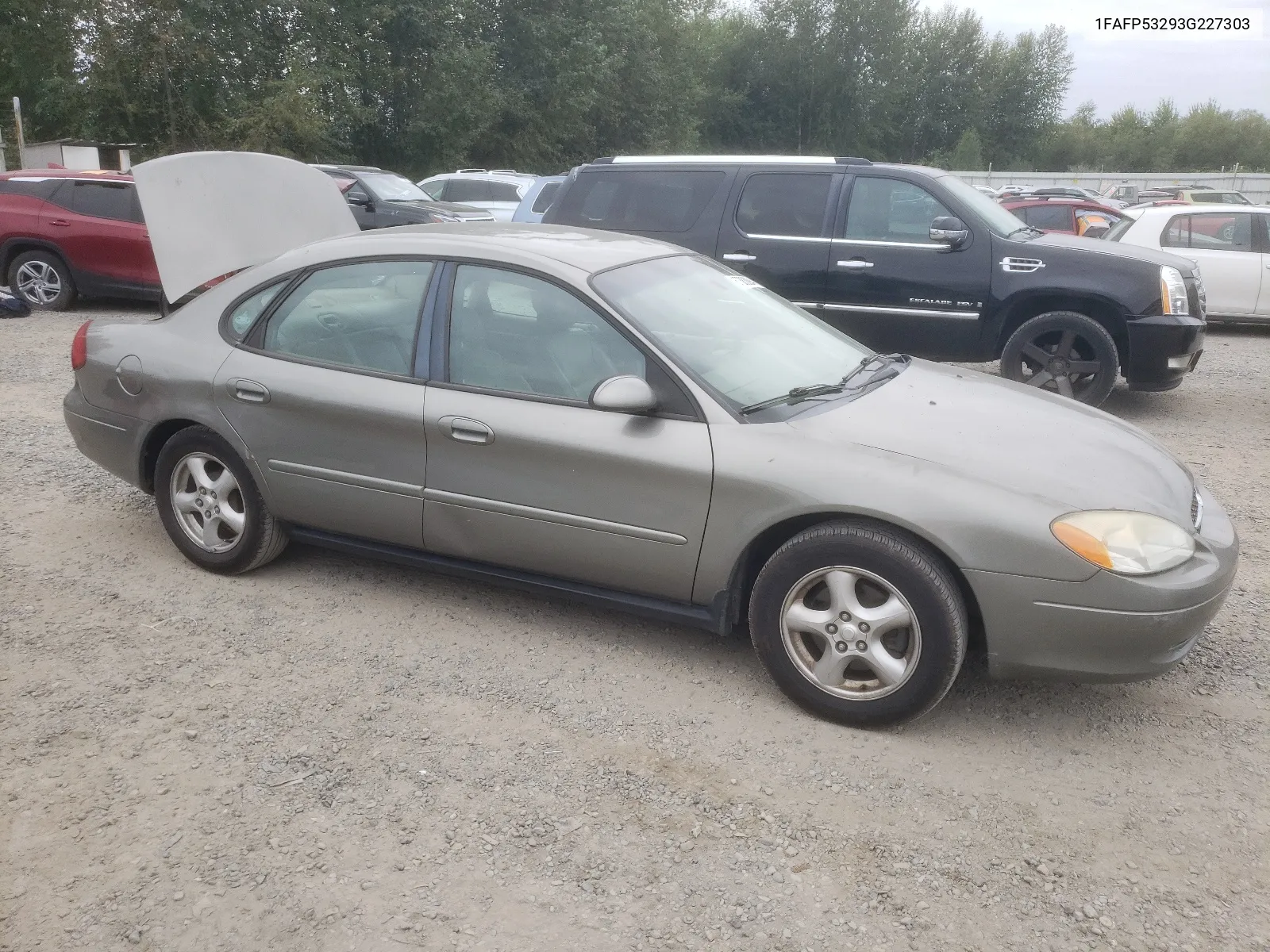 2003 Ford Taurus Se VIN: 1FAFP53293G227303 Lot: 67383094