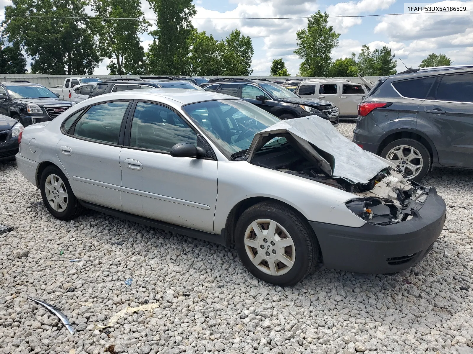 2005 Ford Taurus Se VIN: 1FAFP53UX5A186509 Lot: 63229214