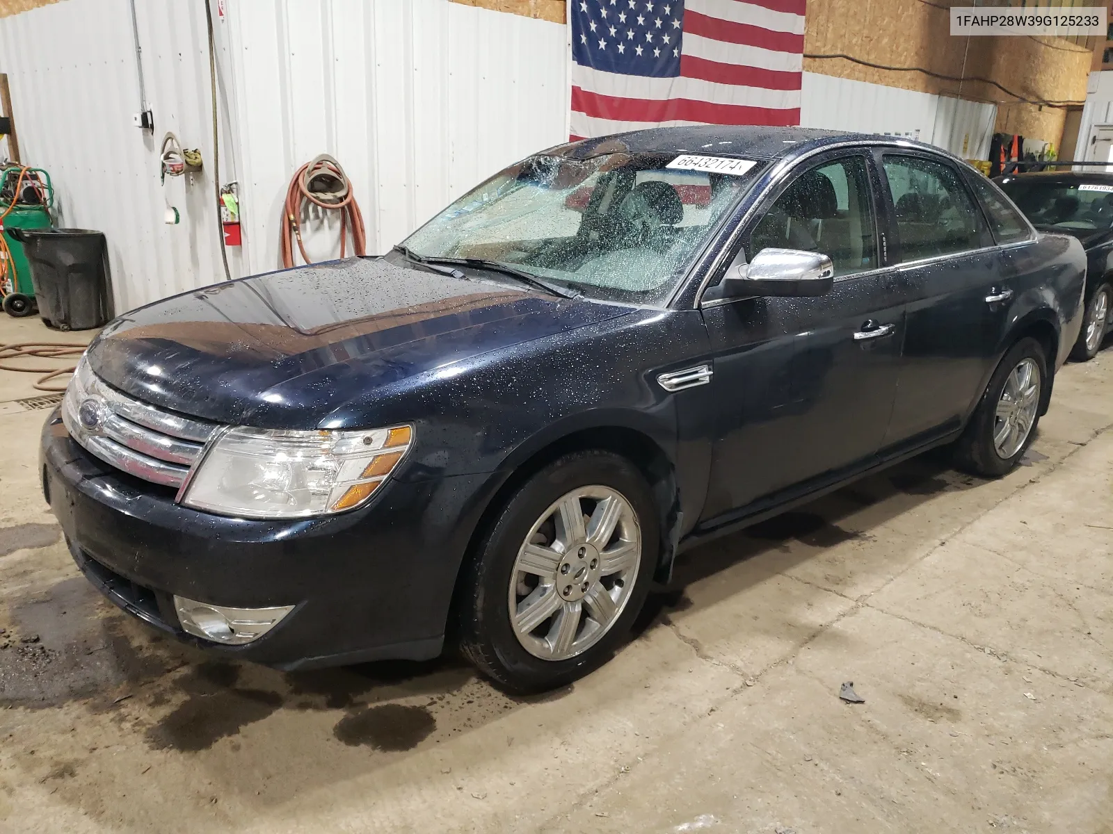 2009 Ford Taurus Limited VIN: 1FAHP28W39G125233 Lot: 66432174