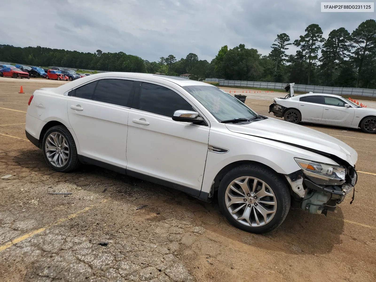 2013 Ford Taurus Limited VIN: 1FAHP2F88DG231125 Lot: 53691634