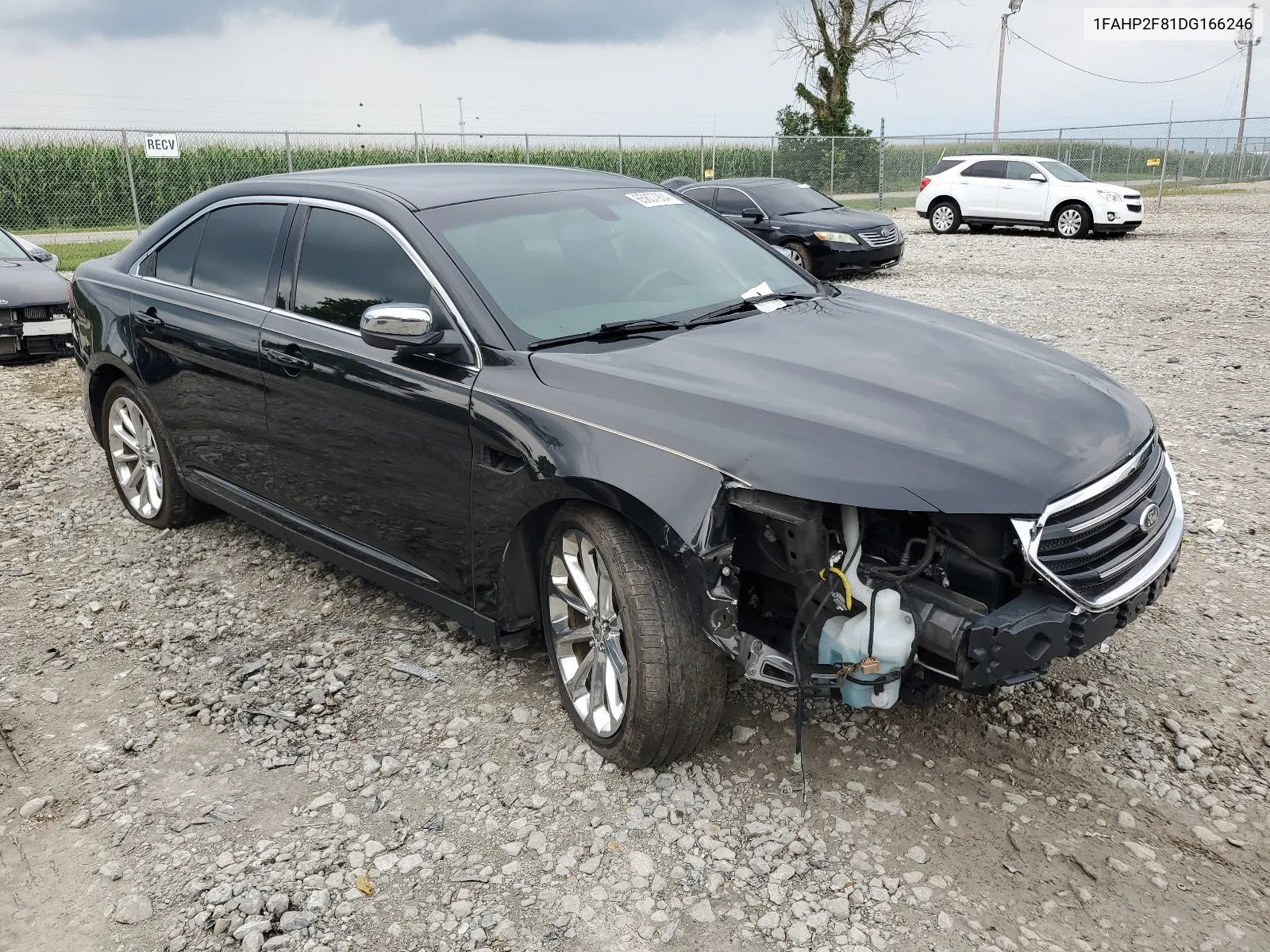 2013 Ford Taurus Limited VIN: 1FAHP2F81DG166246 Lot: 65837904