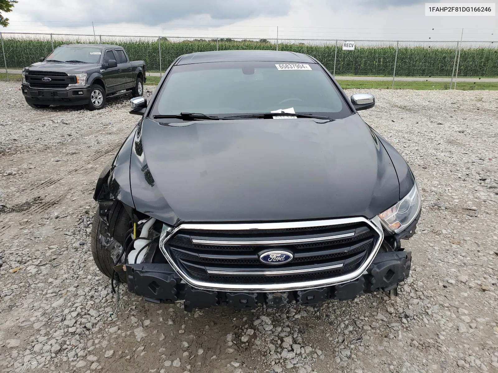 2013 Ford Taurus Limited VIN: 1FAHP2F81DG166246 Lot: 65837904