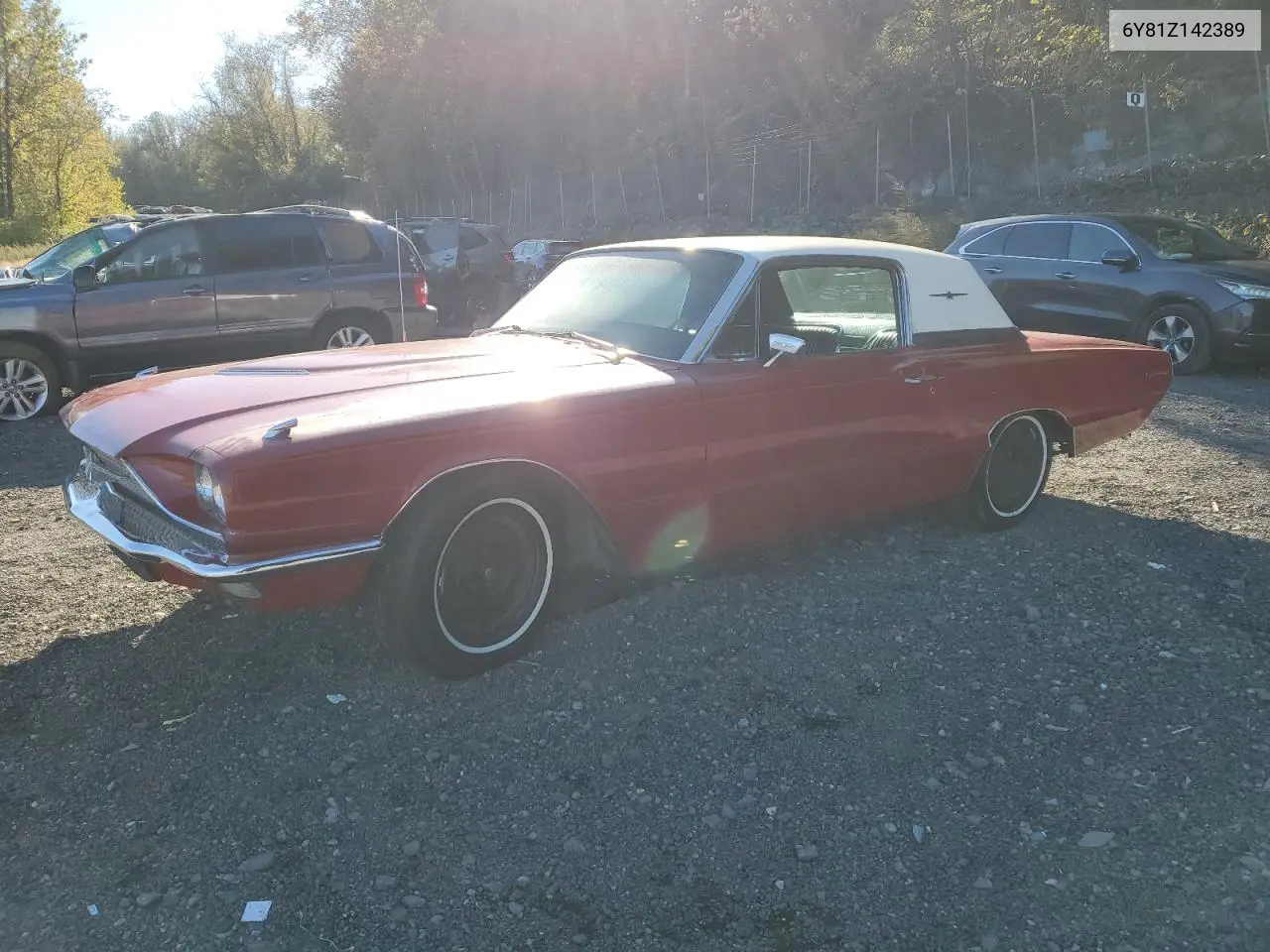 6Y81Z142389 1966 Ford Thunderbir