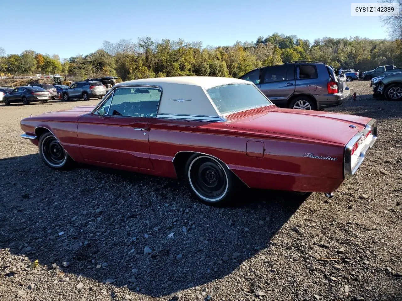 6Y81Z142389 1966 Ford Thunderbir