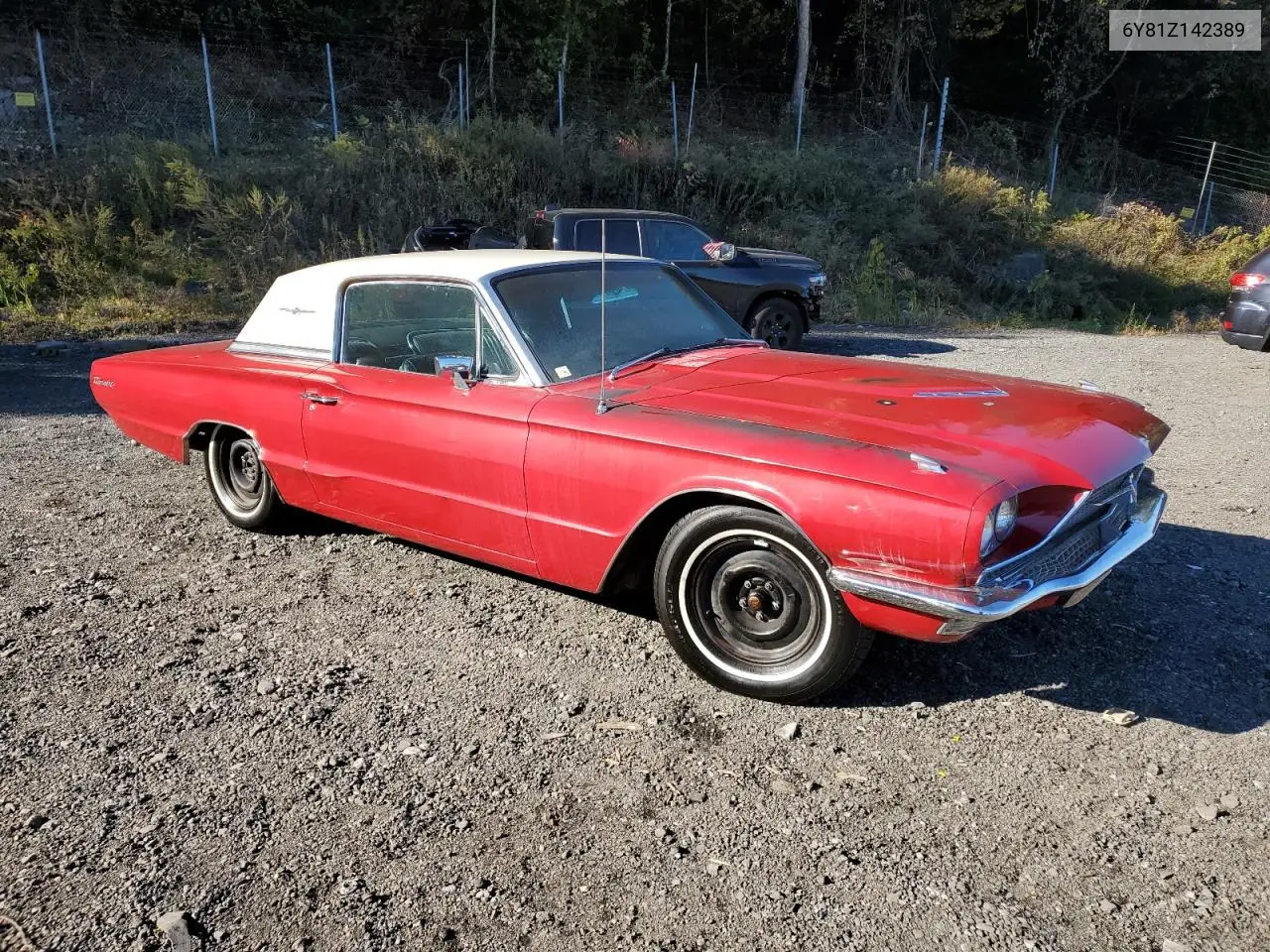6Y81Z142389 1966 Ford Thunderbir