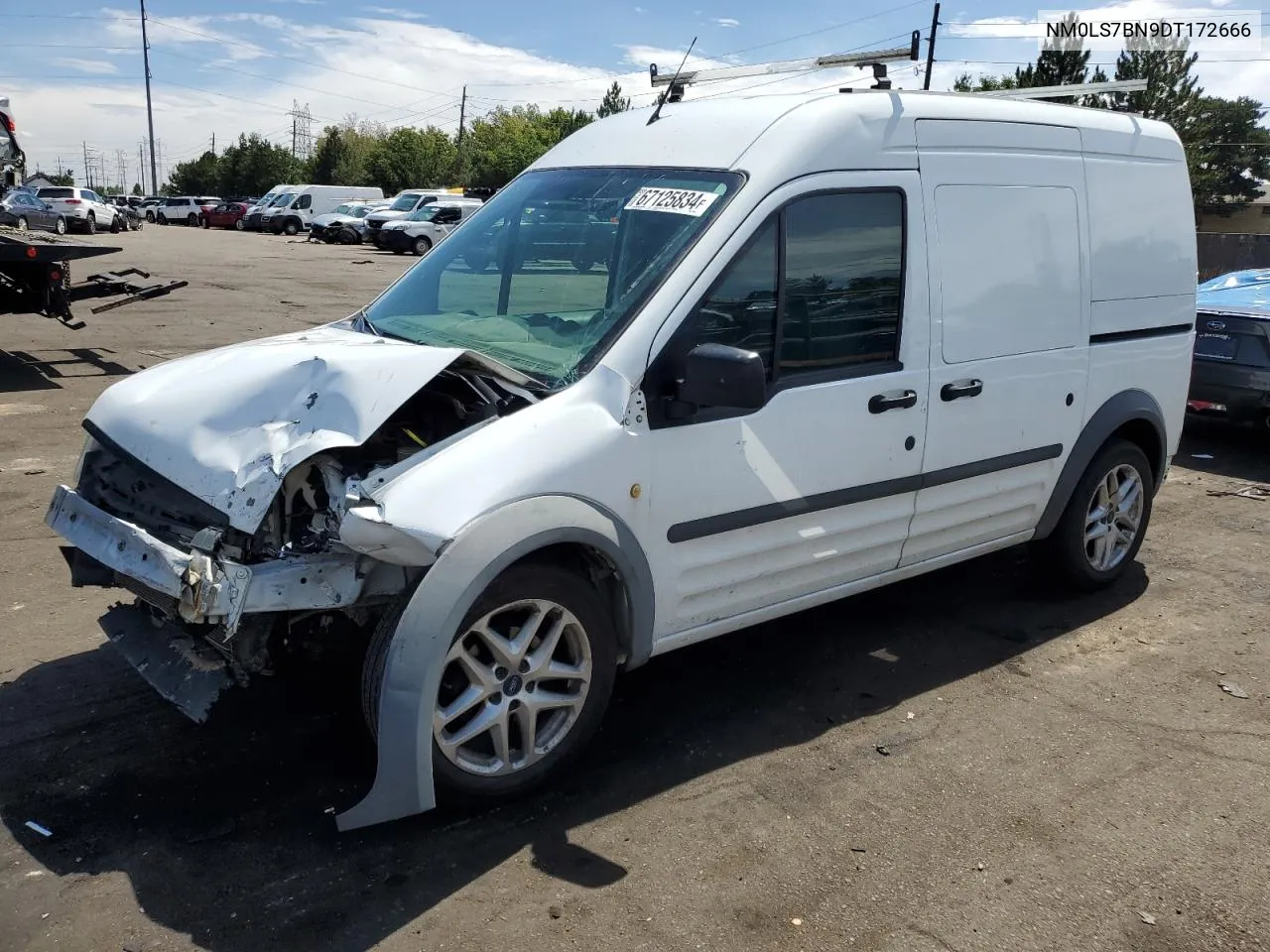 2013 Ford Transit Connect Xlt VIN: NM0LS7BN9DT172666 Lot: 67125834