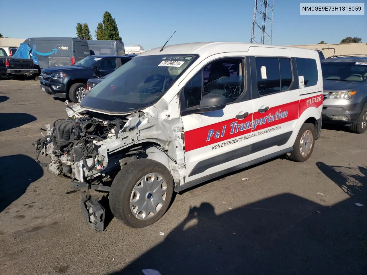 2017 Ford Transit Connect Xl VIN: NM0GE9E73H1318059 Lot: 70134634