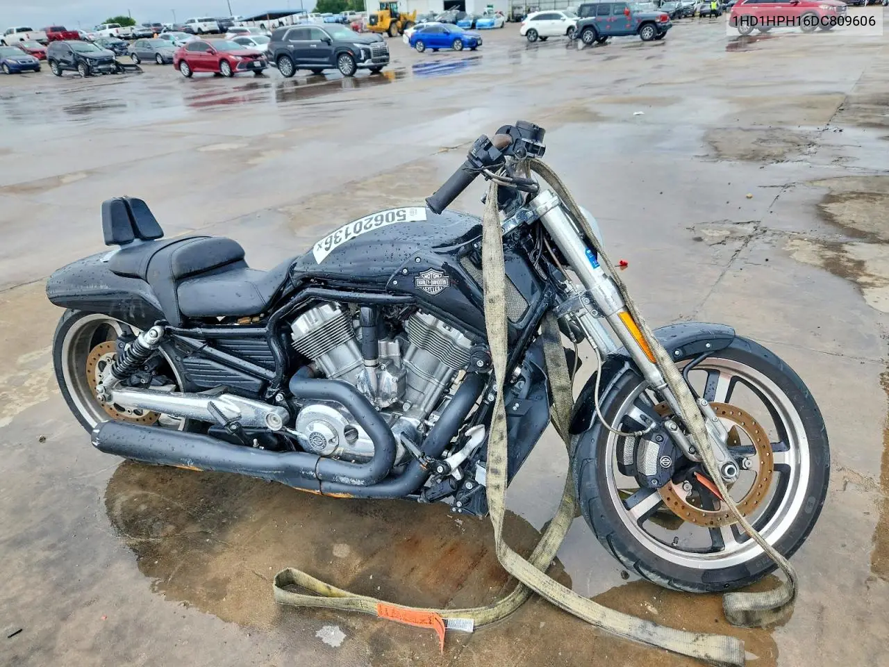 2013 Harley-Davidson Vrscf Vrod Muscle VIN: 1HD1HPH16DC809606 Lot: 50620136