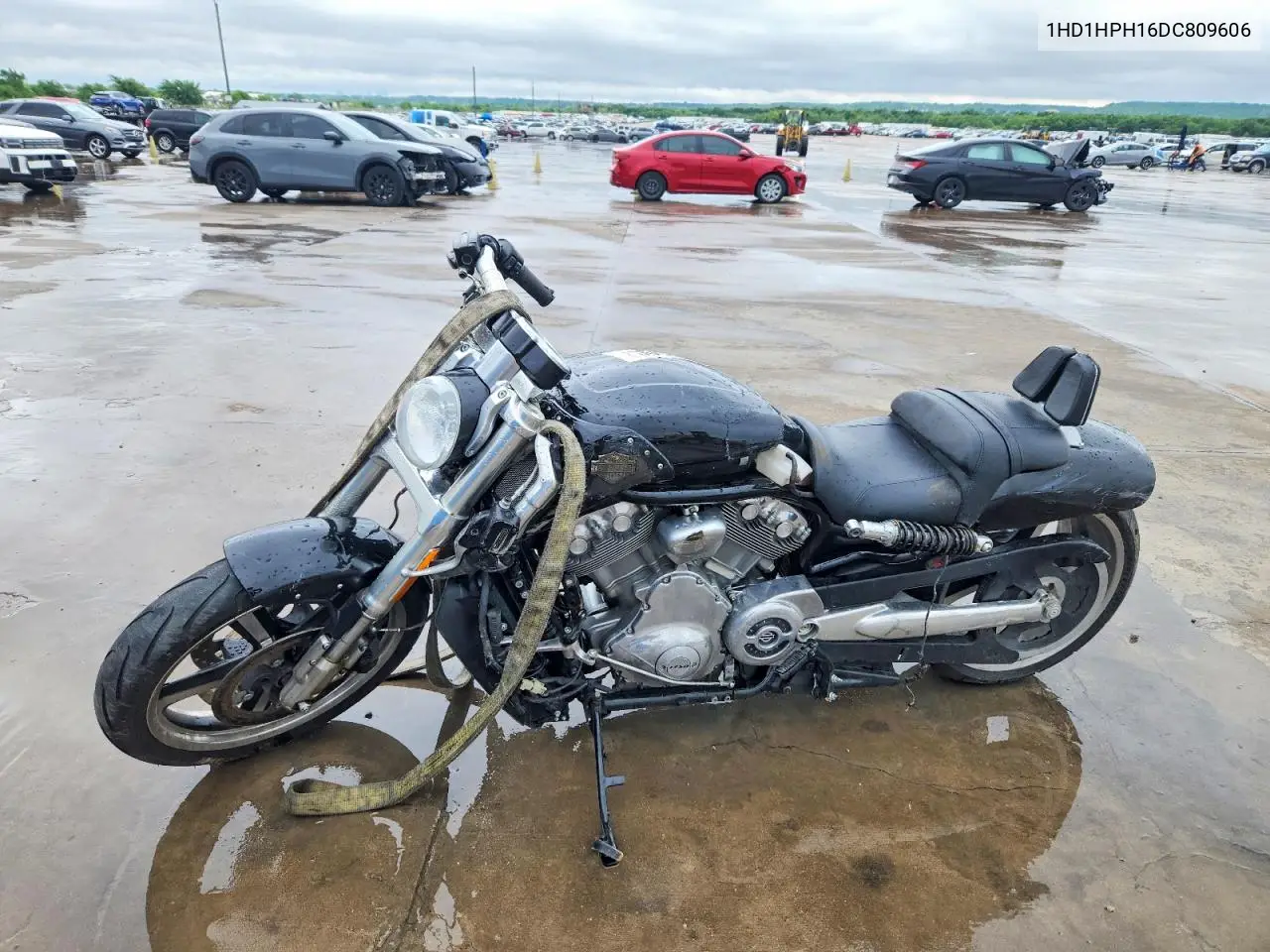 2013 Harley-Davidson Vrscf Vrod Muscle VIN: 1HD1HPH16DC809606 Lot: 50620136