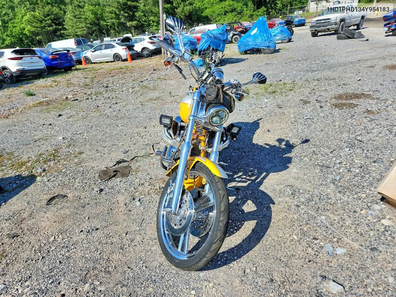 2004 Harley-Davidson Fxstdse2 VIN: 1HD1PHD134Y954183 Lot: 56286656