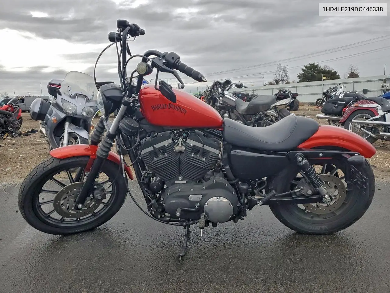 1HD4LE219DC446338 2013 Harley-Davidson Xl883 Iron 883
