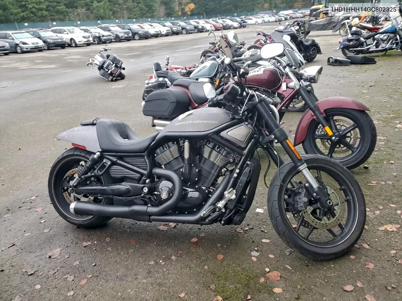1HD1HHH14GC802325 2016 Harley-Davidson Vrscdx Night Rod Special